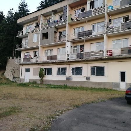 Alena'S Flat Apartman Borzsomi Kültér fotó
