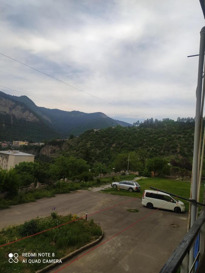 Alena'S Flat Apartman Borzsomi Kültér fotó