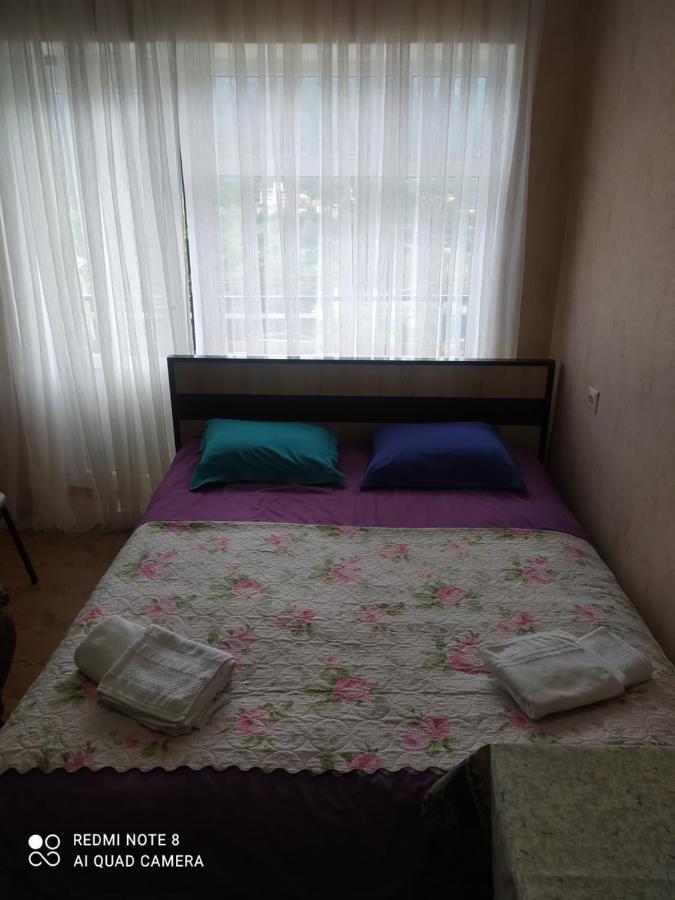 Alena'S Flat Apartman Borzsomi Kültér fotó