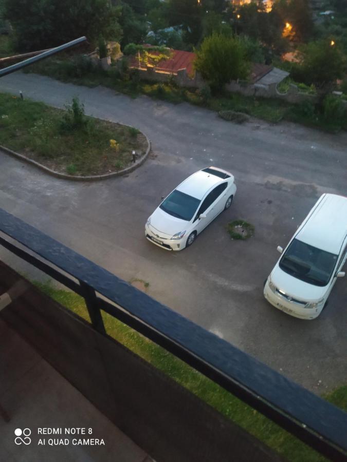 Alena'S Flat Apartman Borzsomi Kültér fotó