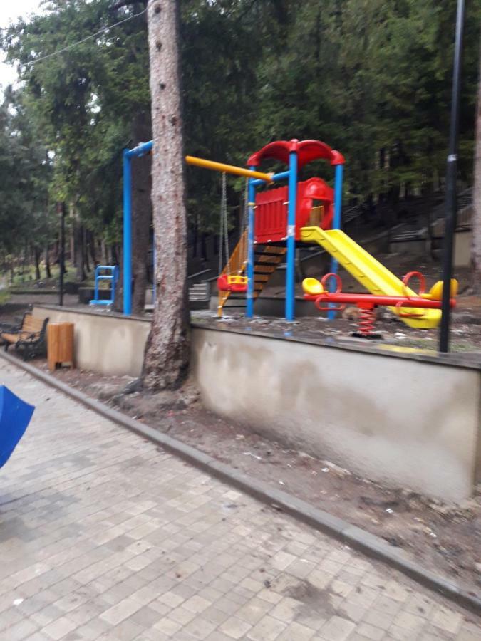 Alena'S Flat Apartman Borzsomi Kültér fotó