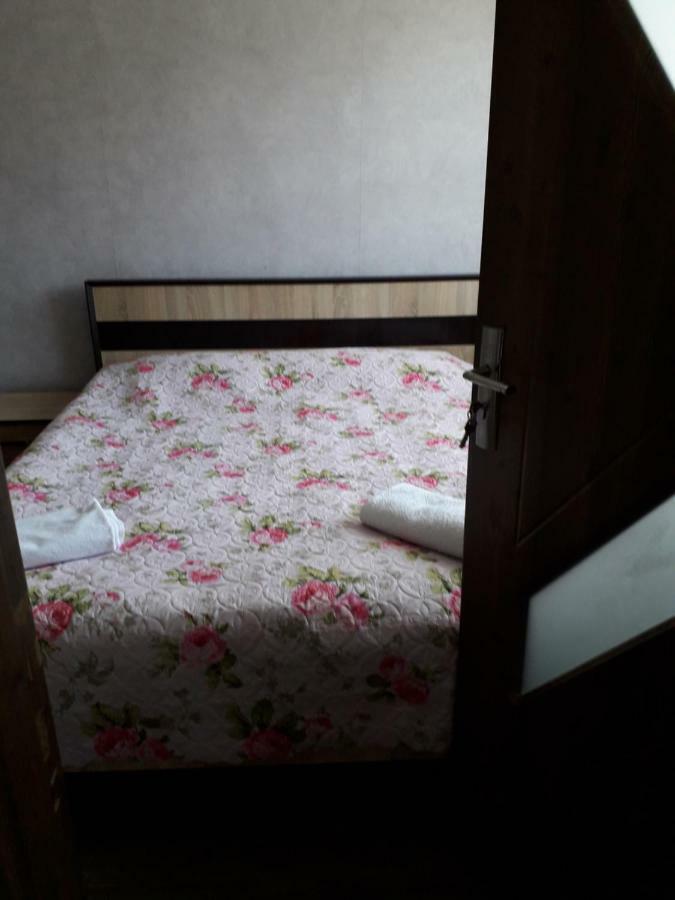 Alena'S Flat Apartman Borzsomi Kültér fotó